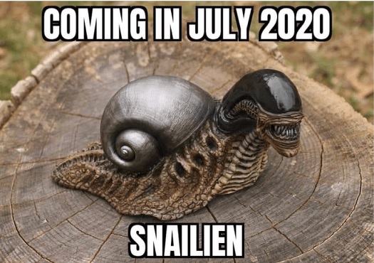 snailien 20200608.jpg